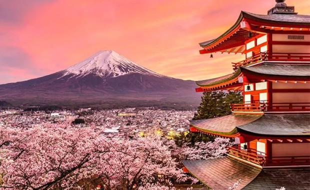 Japanese Car Auctions Resume After Golden Week – May 2025 Deals Are Here!