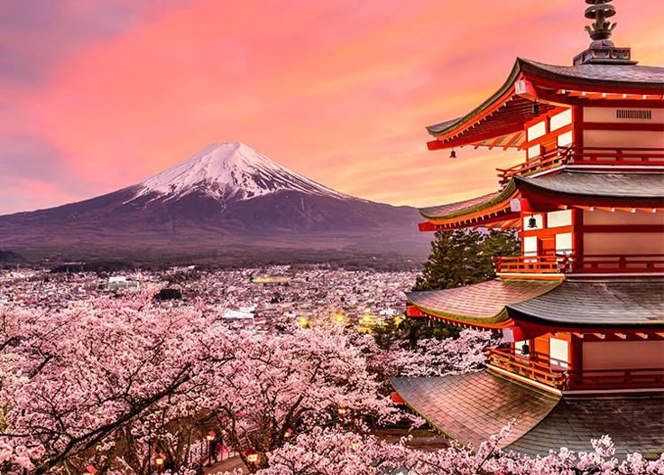 16 Secrets About Mt_ Fuji, the Symbol of Japan_ Even Japanese People Don’t Know That_! _ LIVE JAPAN travel guide