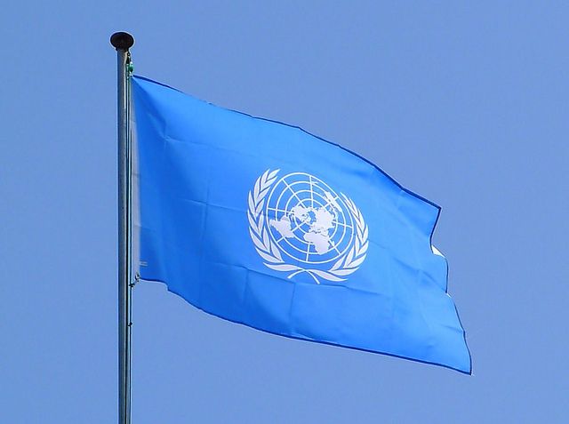 The UN Is Coming to Nairobi. Here’s What It Means for Our City (and for Zorro).